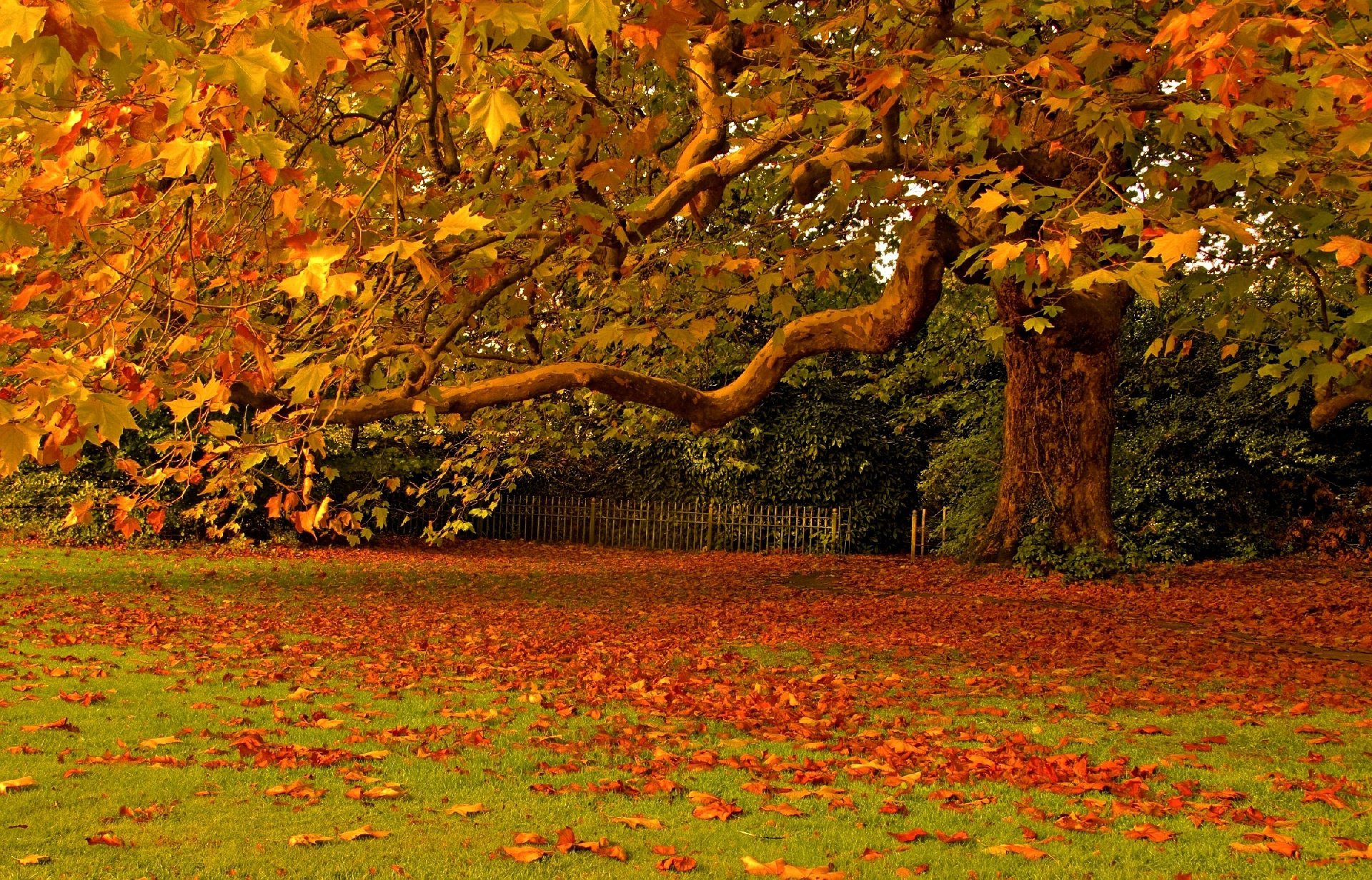 Foto panorami per il tuo desktop le pi belle foto di for Foto autunno per desktop gratis